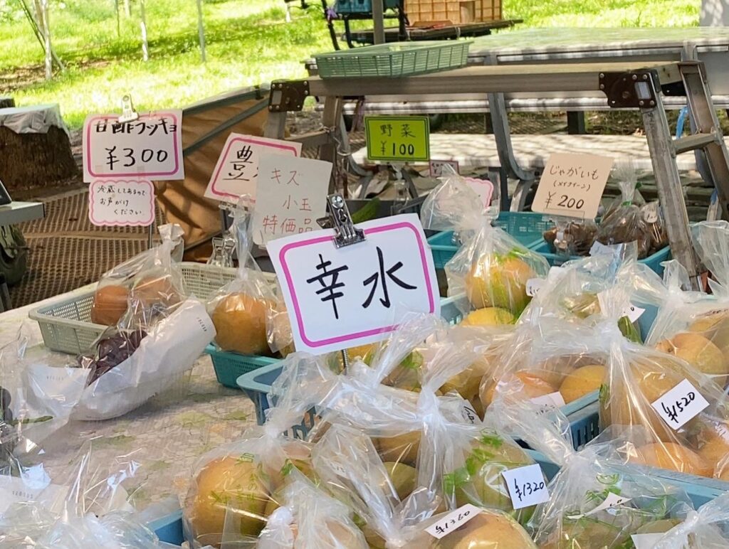 有馬の「せど園」