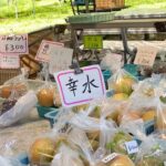 有馬の「せど園」