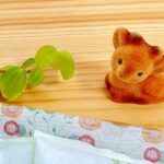 生徒さんから頂きました