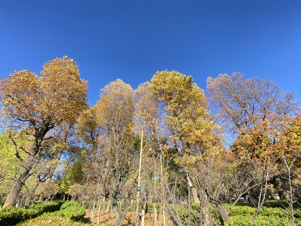 羽根木公園へ
